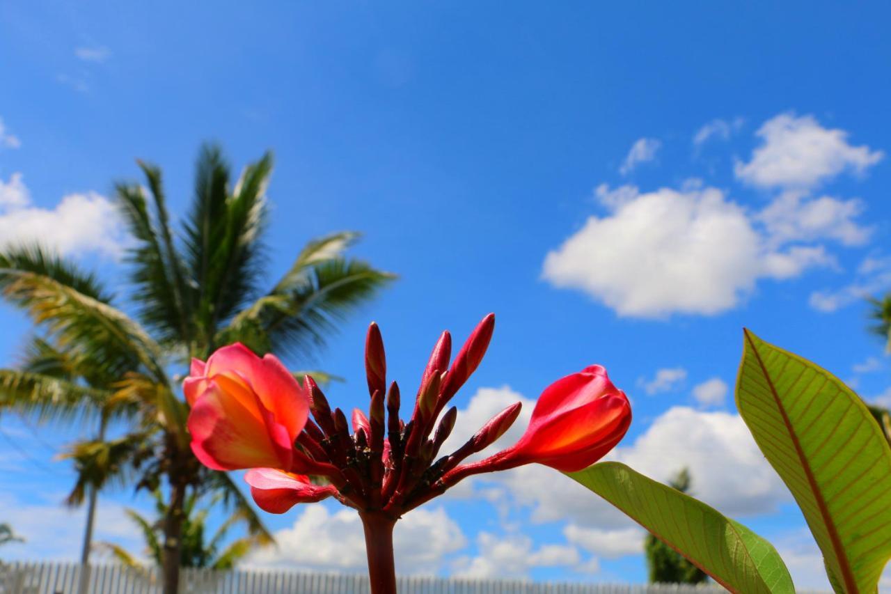 Nadi Fancy Hotel Exterior photo